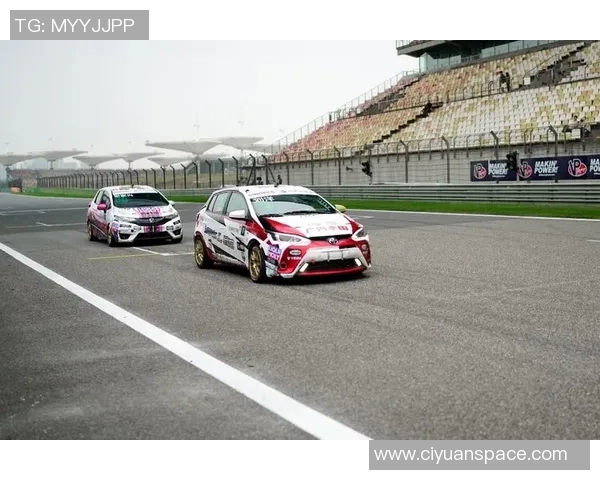 深圳乒乓球队在洲际杯积分榜上以73分稳居第一名展现强劲实力